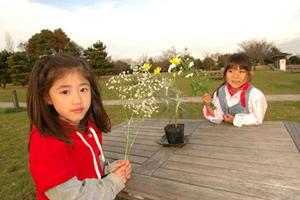 錦糸町駅近くでバレエ教室をお探しなら